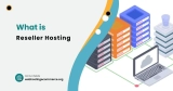 What is Reseller Hosting?