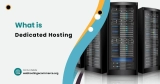 Understanding Dedicated Hosting